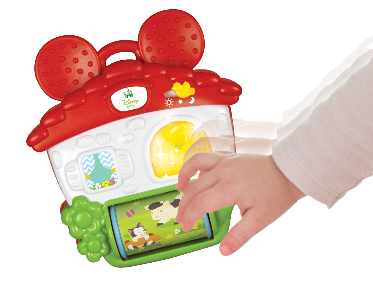 BABY MICKEY MORBIDA PALESTRA