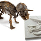 DINO-FOSSIL TRICERATOPO