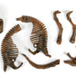 DINO-FOSSIL TRICERATOPO