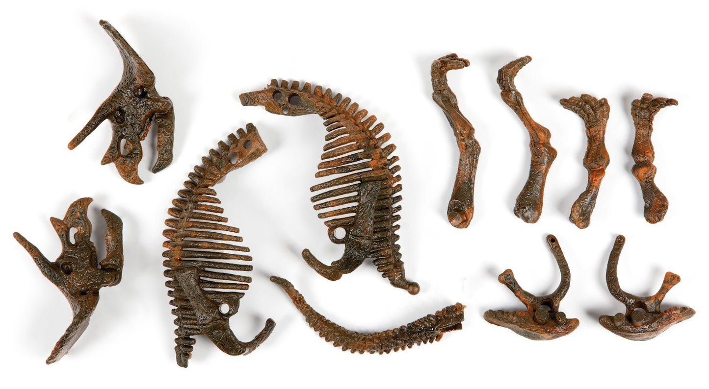 DINO-FOSSIL TRICERATOPO