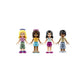 MONTAGNE RUSSE FRIENDS 41130