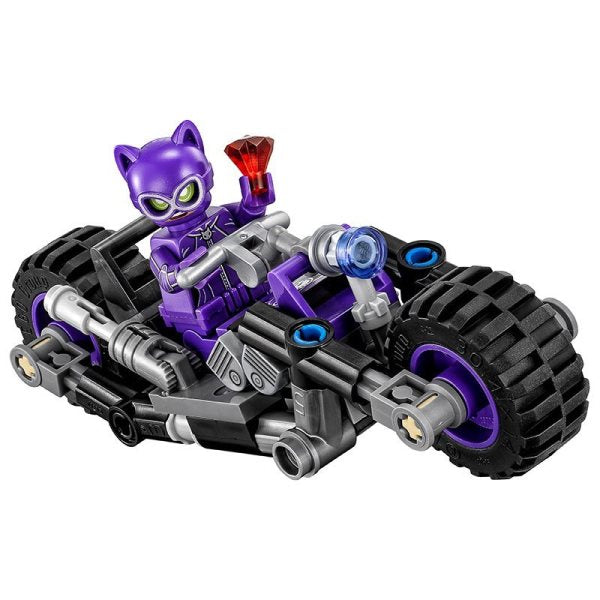 INSEGUIMENTO SULLA CATCYCLE  70902