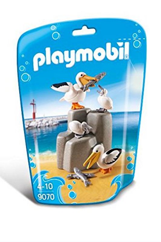 FAMIGLIA DI PELLICANI PY9070