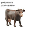 MUCCA BRUDER