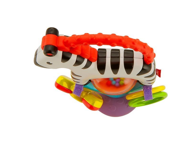 FP ZEBRA ATTIVITA'