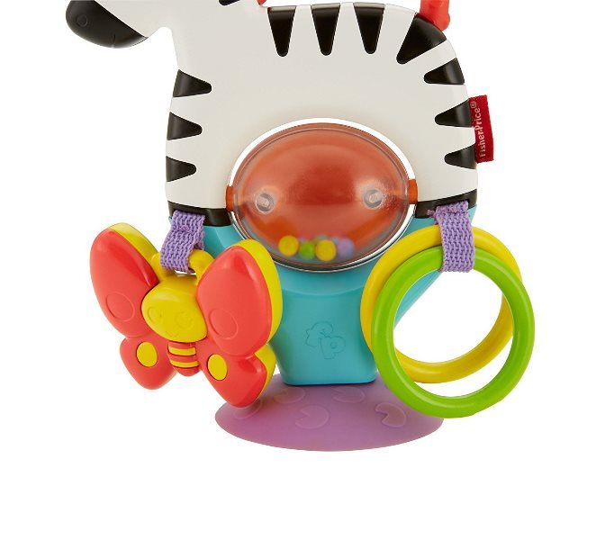 FP ZEBRA ATTIVITA'