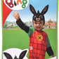 COSTUME BING BUNNY