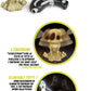 GIOCO OCCHIO AL FANTASMA INTERATTIV