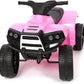 MINI QUAD ROSA 6V