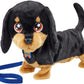 ANIMAGIC WAGGLES DOG