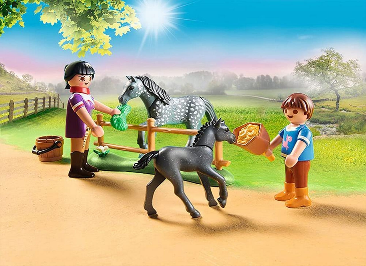 PONY CAFE' PY 70519