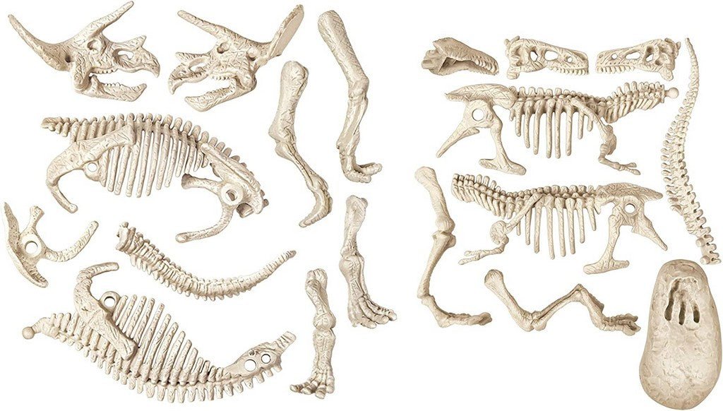 ARCHEOG- TREX & TRICERATOPO AR