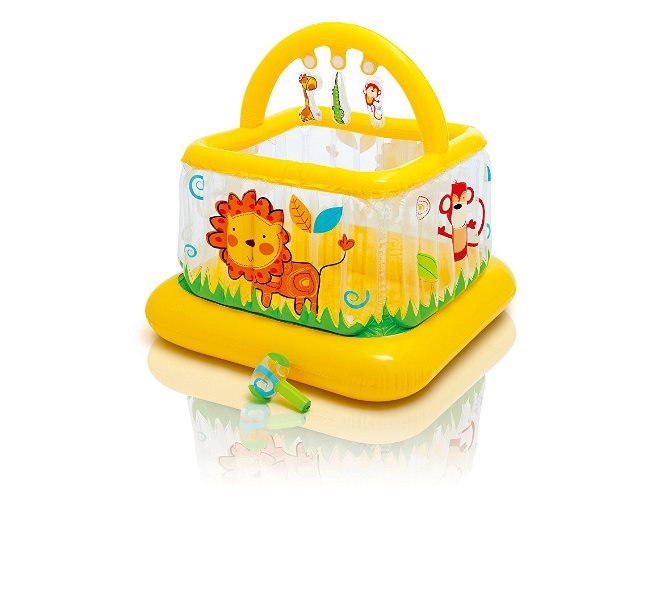 product_name toysINTEX DEVELOPMENT COMPANY LTD