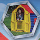 CASA PAW PATROL GARDEN 102X90X109