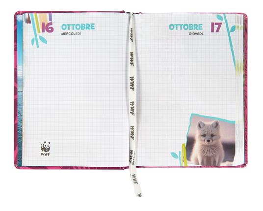 product_name toysFranco Cosimo Panini
