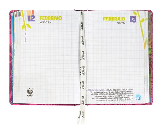 product_name toysFranco Cosimo Panini