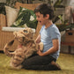 product_name toysHASBRO FRANCE SAS