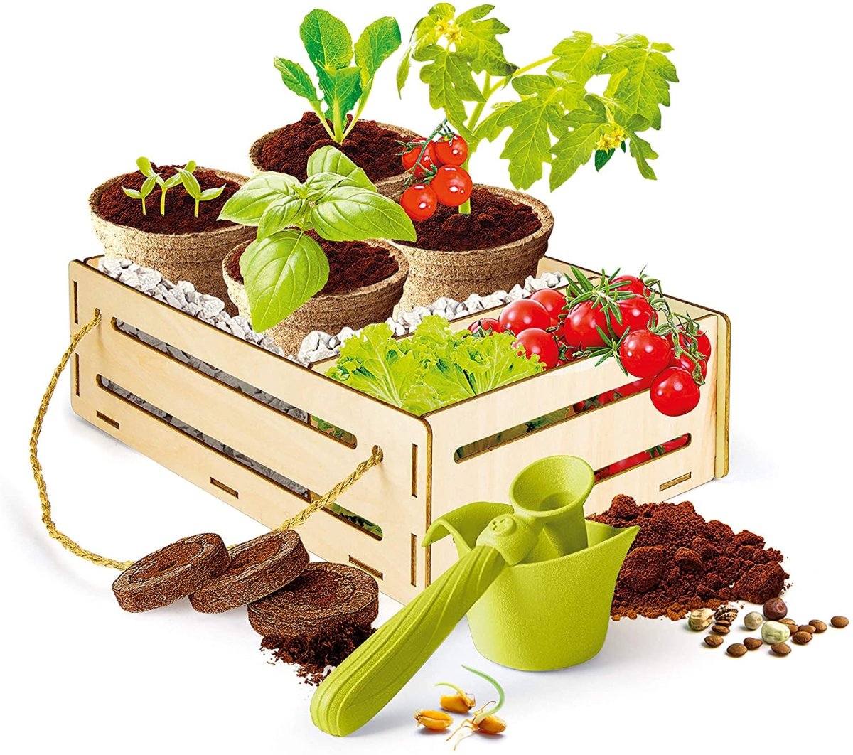 product_name toysCLEMENTONI SPA