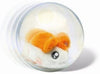 product_name toysGIOCHI PREZIOSI S.P.A.