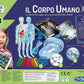 IL CORPO UMANO