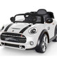 MINI COOPER S 12V LAMAS