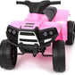 product_name toysLAMAS TOYS SRL