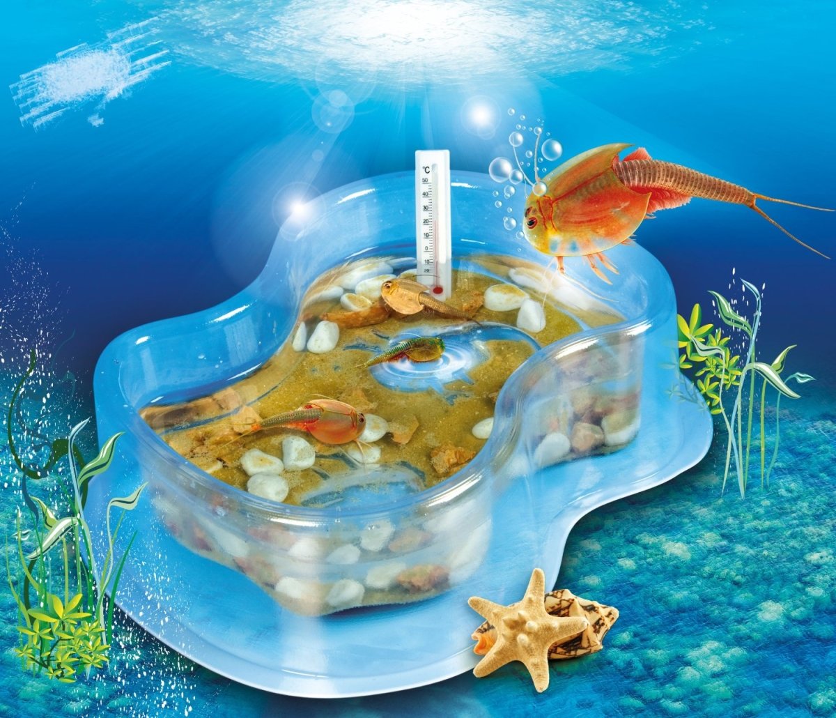 ORIGINAL TRIOPS SCIENZE E GIOCO