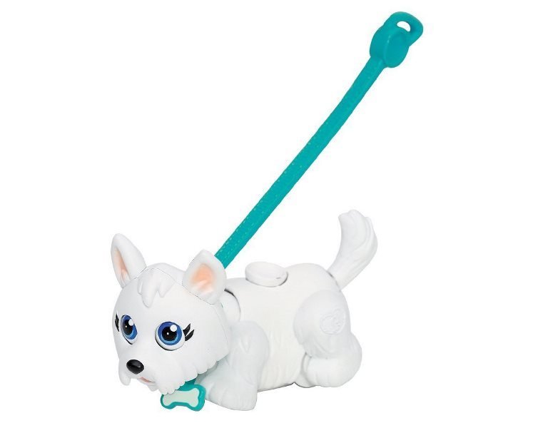 PET PARADE CARRY KIT