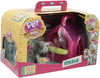 PET PARADE PONY STALLA