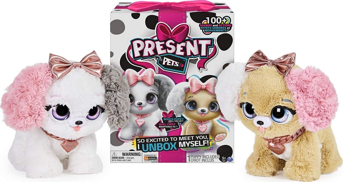 product_name toysSPIN MASTER INTERNATIONAL SARL