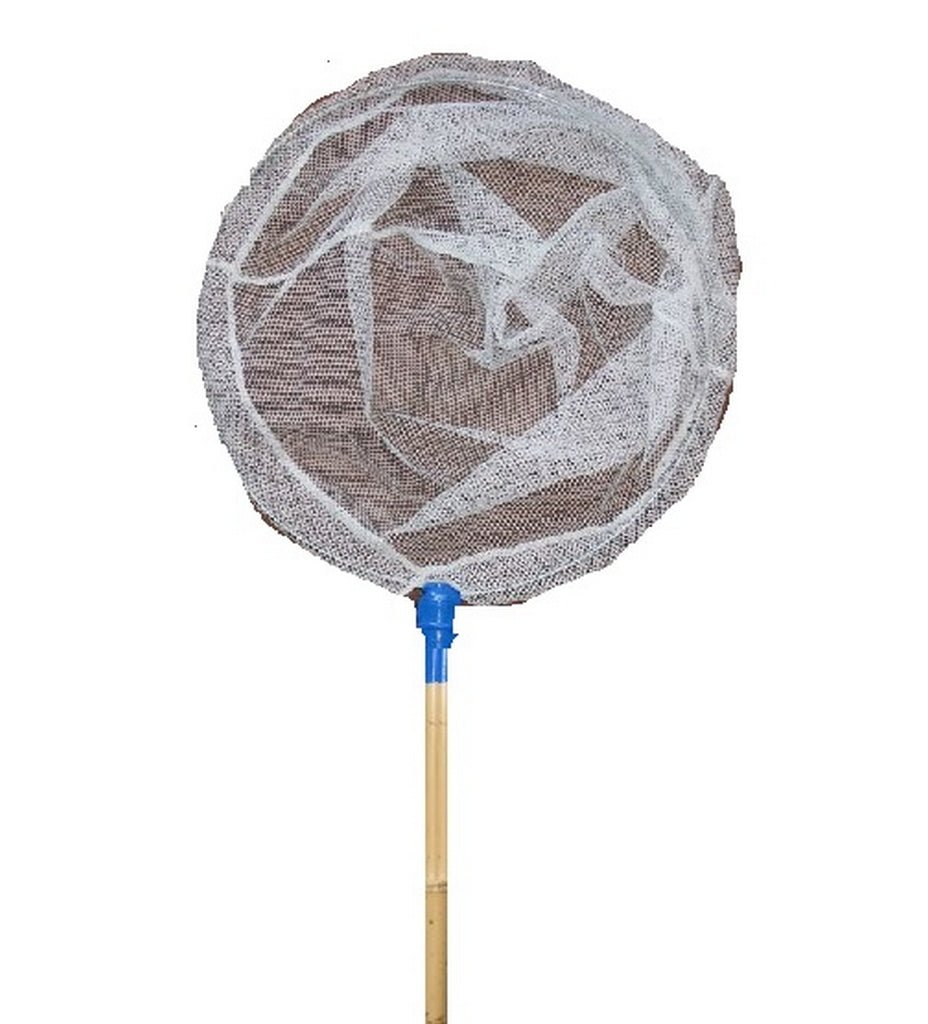 product_name toysDISTRIBUTORI GIOCATTOLI