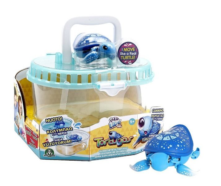 TORTUGAS ACQUARIUM S.2