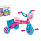 TRICICLO SKYE EVEREST PAW PATROL