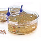 product_name toysCLEMENTONI SPA