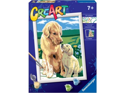 CREART D RETRIEVER SUL PRATO