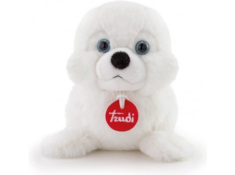 PUPPY FOCA 000