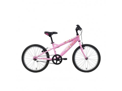 DY BICI FLOWERS 20