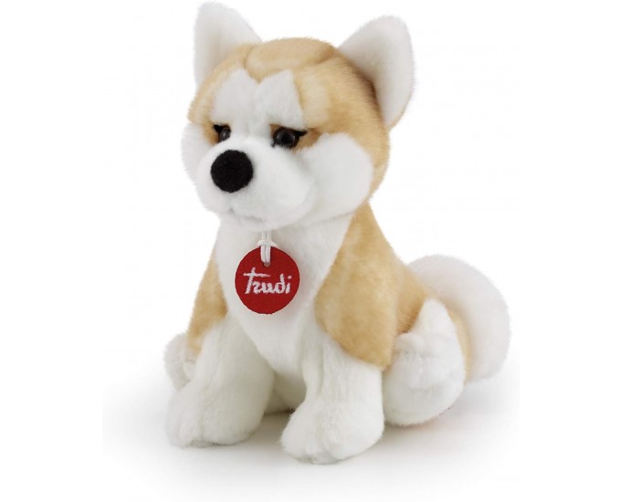 TRUDI AKITA ASCANIO 22663