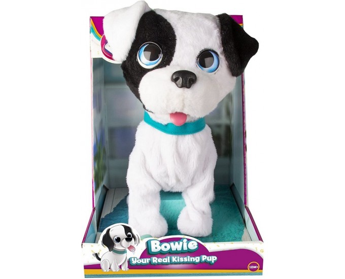 BOWIE PETZ CAGNOLINO
