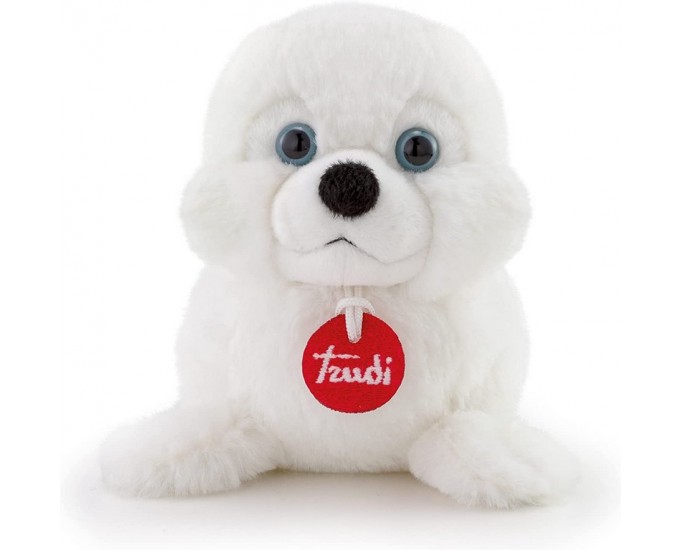 PUPPY FOCA 000