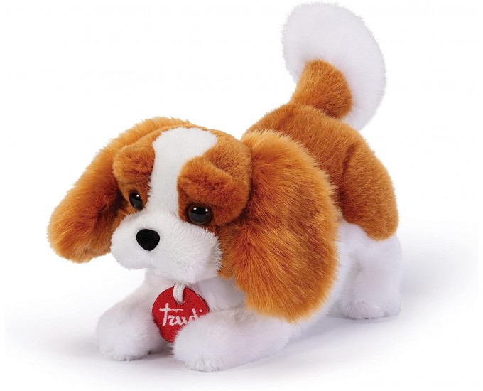 CAVALIER KING MARLEY