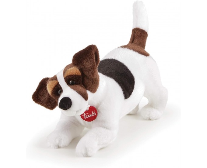 JACK RUSSEL JACK T22926