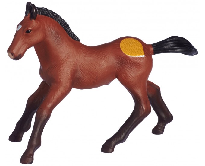PULEDRO ANDALUSO M TIPTOI