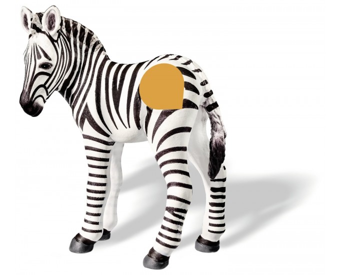 ZEBRA CUCCIOLO M TIPTOI