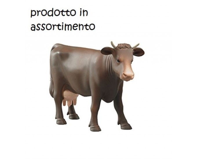 MUCCA BRUDER