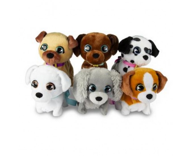 CUCCIOLI CAMMINANTI CLUB PETZ