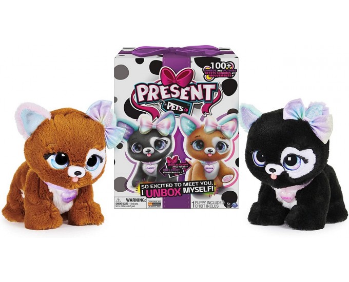 PRESENT PETS RAINBOW GLITTER