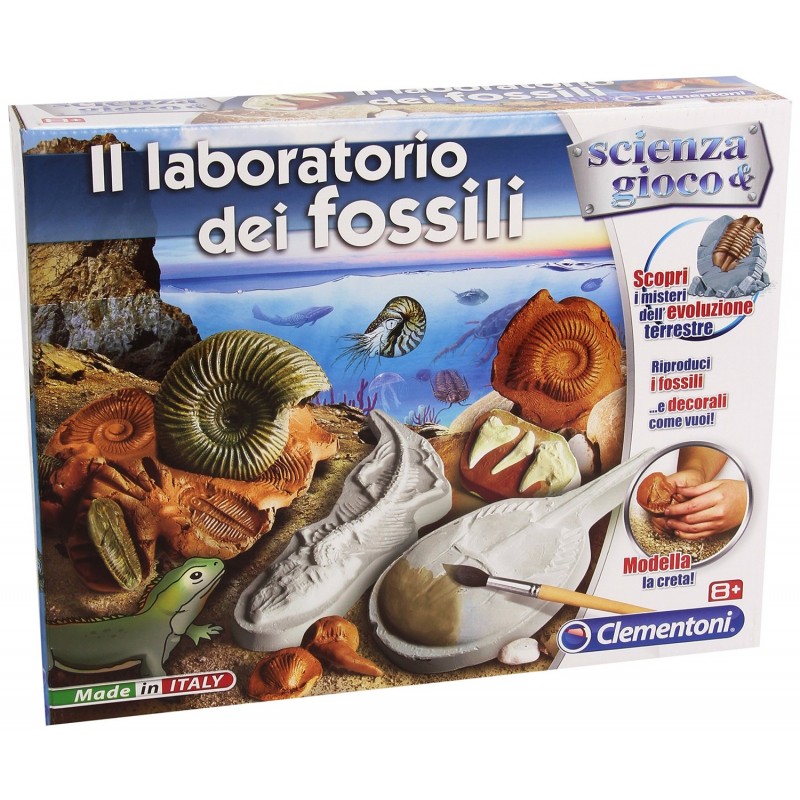 LABORATORIO DEI FOSSILI