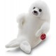 TRUDI FOCA TG.M