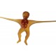 MR. MUSCOLO X RAY